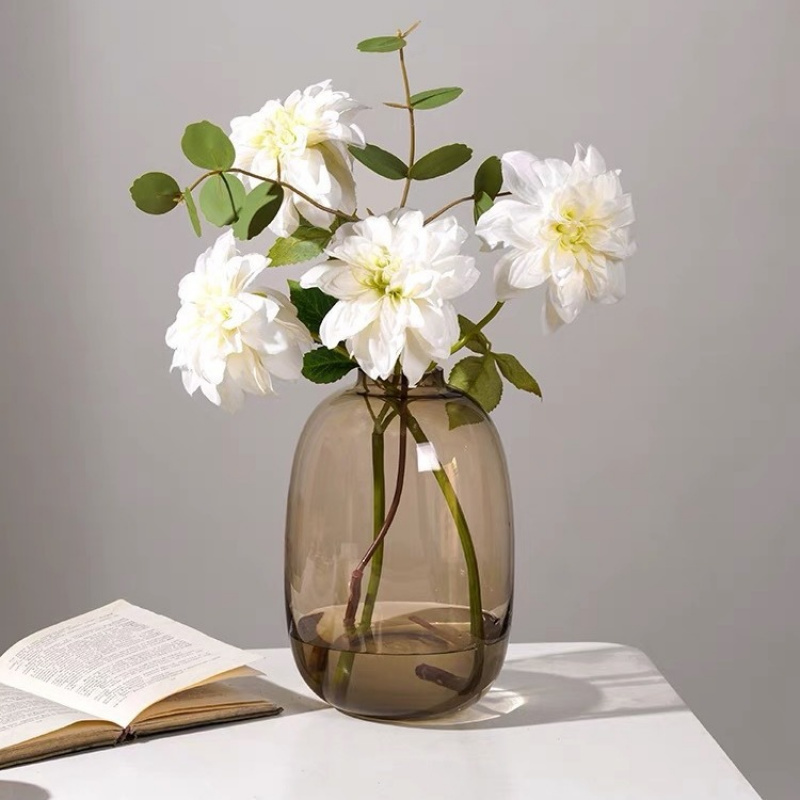 Hydroponic Grow Pod - Vase en verre Transparent, décoration de