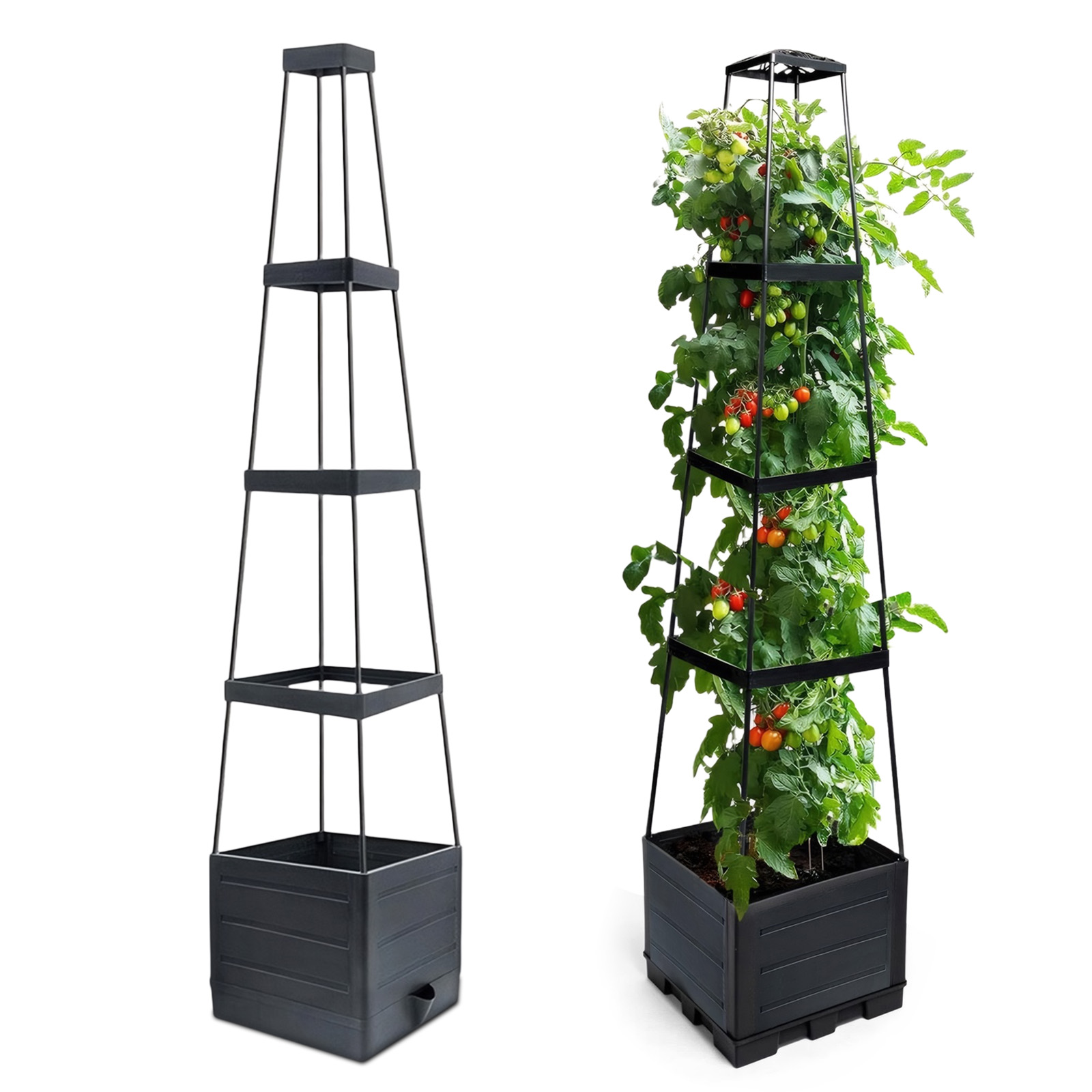 Self Watering Planter - Jardinière surélevée avec treillis, cage à