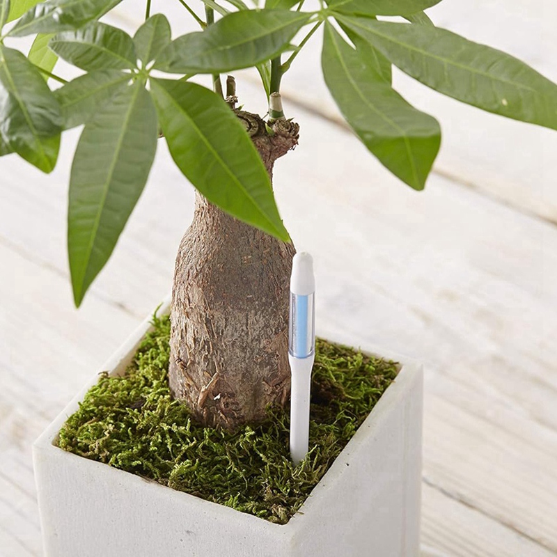 Aquameter, 5 pièces, capteur d - Plant Sensor avis et prix