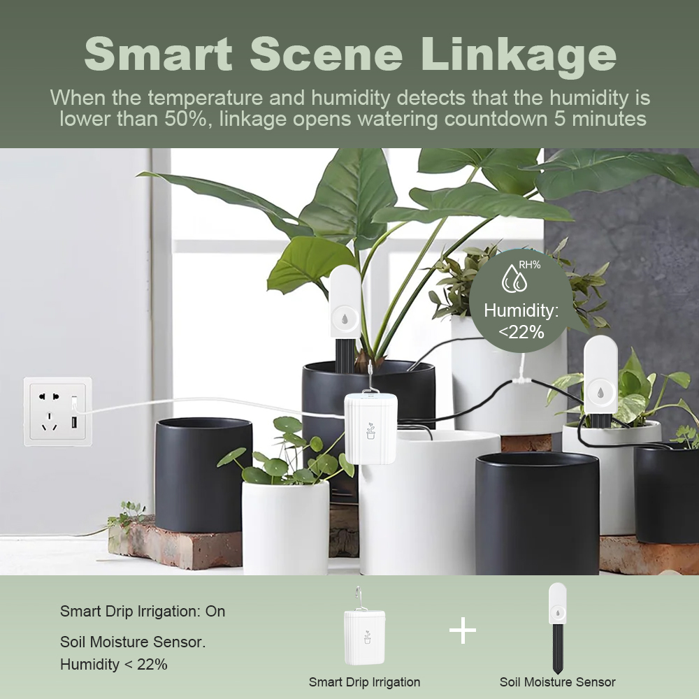 5 pièces Testeur d'humidité du - Plant Sensor avis et prix