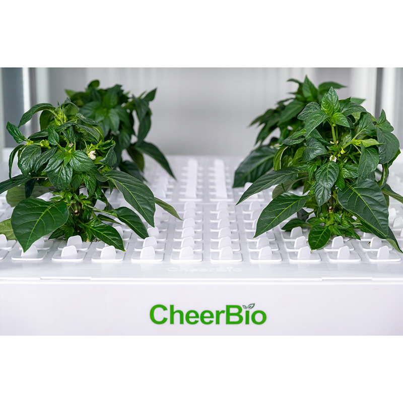 Nouveau système de plantation  - Indoor Garden Kit avis et prix