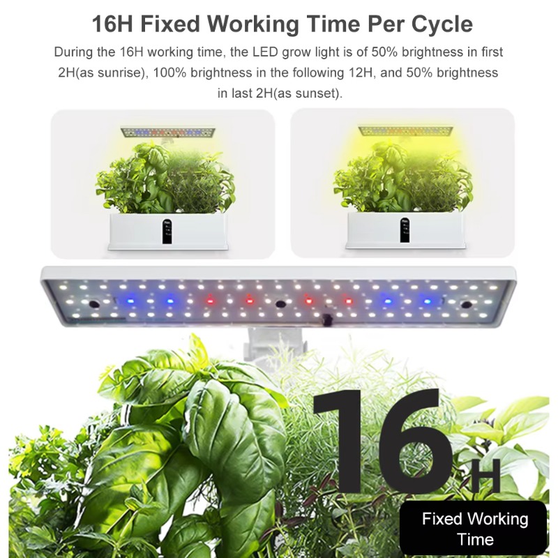 Système de culture hydroponiqu - Grow Light Led avis et prix