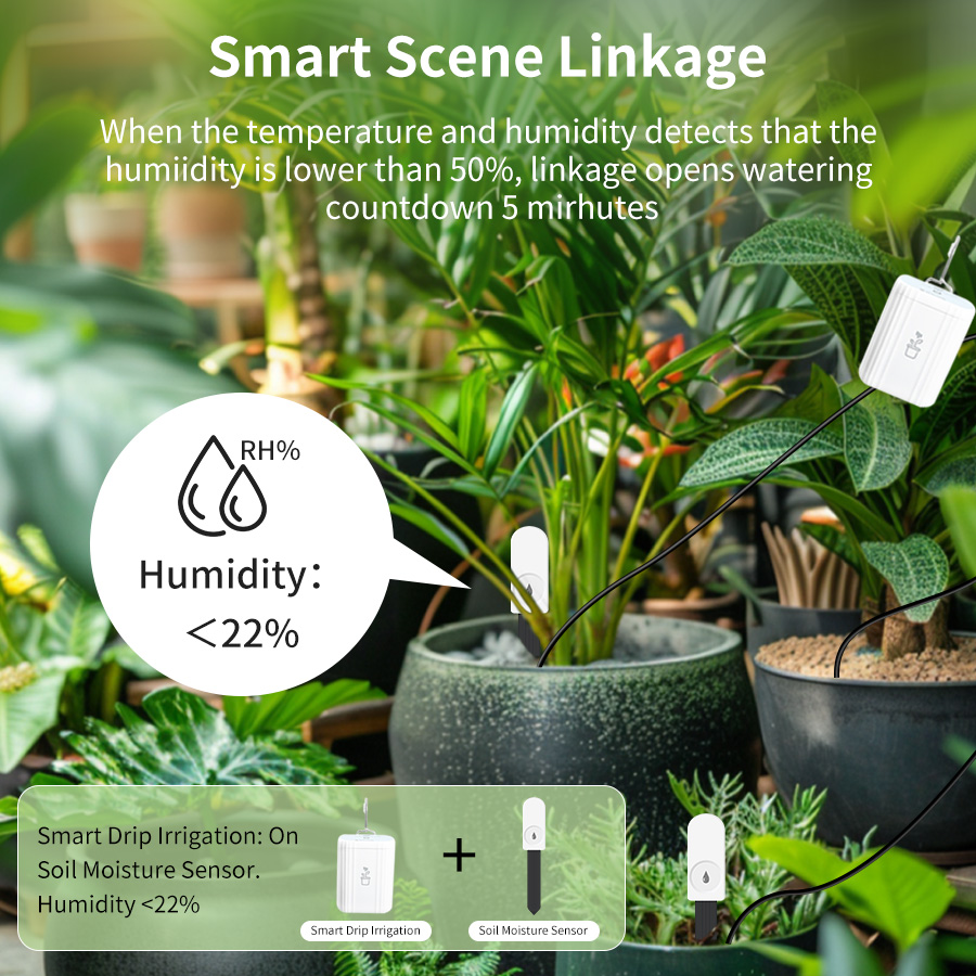 Testeur de sol intelligent Zig - Plant Sensor avis et prix