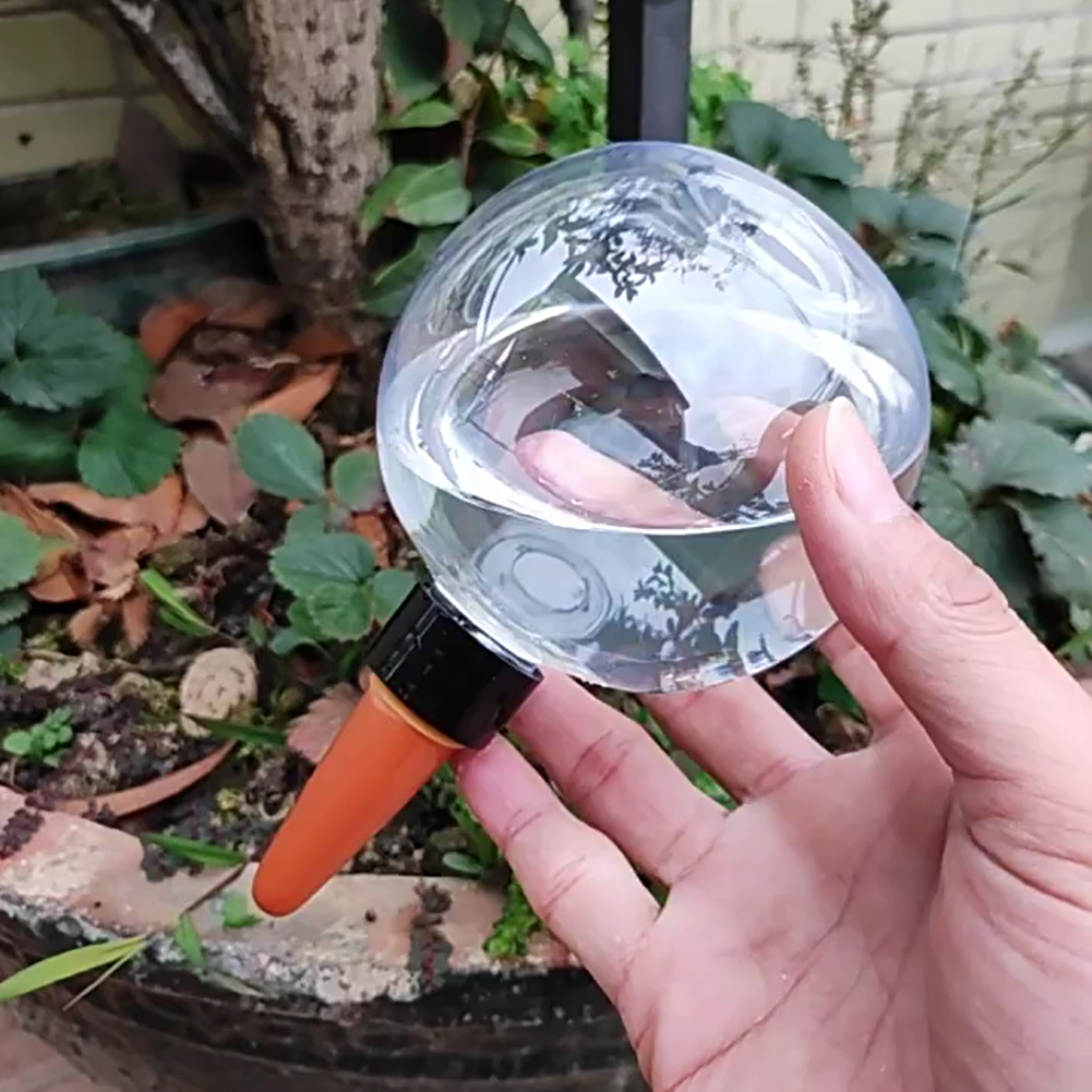 Globes d'arrosage automatique  - Self Watering Planter avis et prix