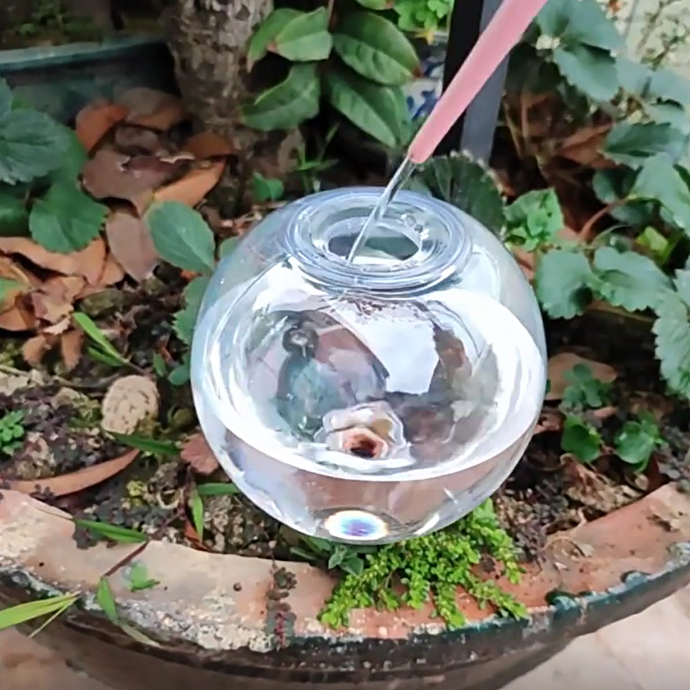 Globes d'arrosage automatique  - Self Watering Planter avis et prix