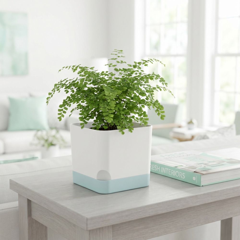 Pots de fleurs auto-arrosants  - Self Watering Planter avis et prix