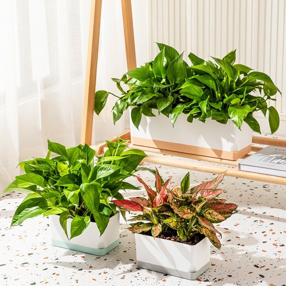 Pots de fleurs auto-arrosants  - Self Watering Planter avis et prix