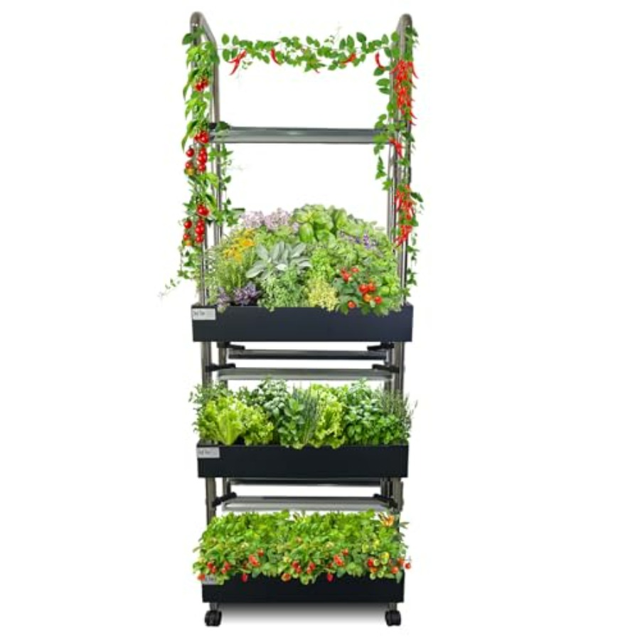 Système de culture hydroponiqu - Smart Garden System avis et prix