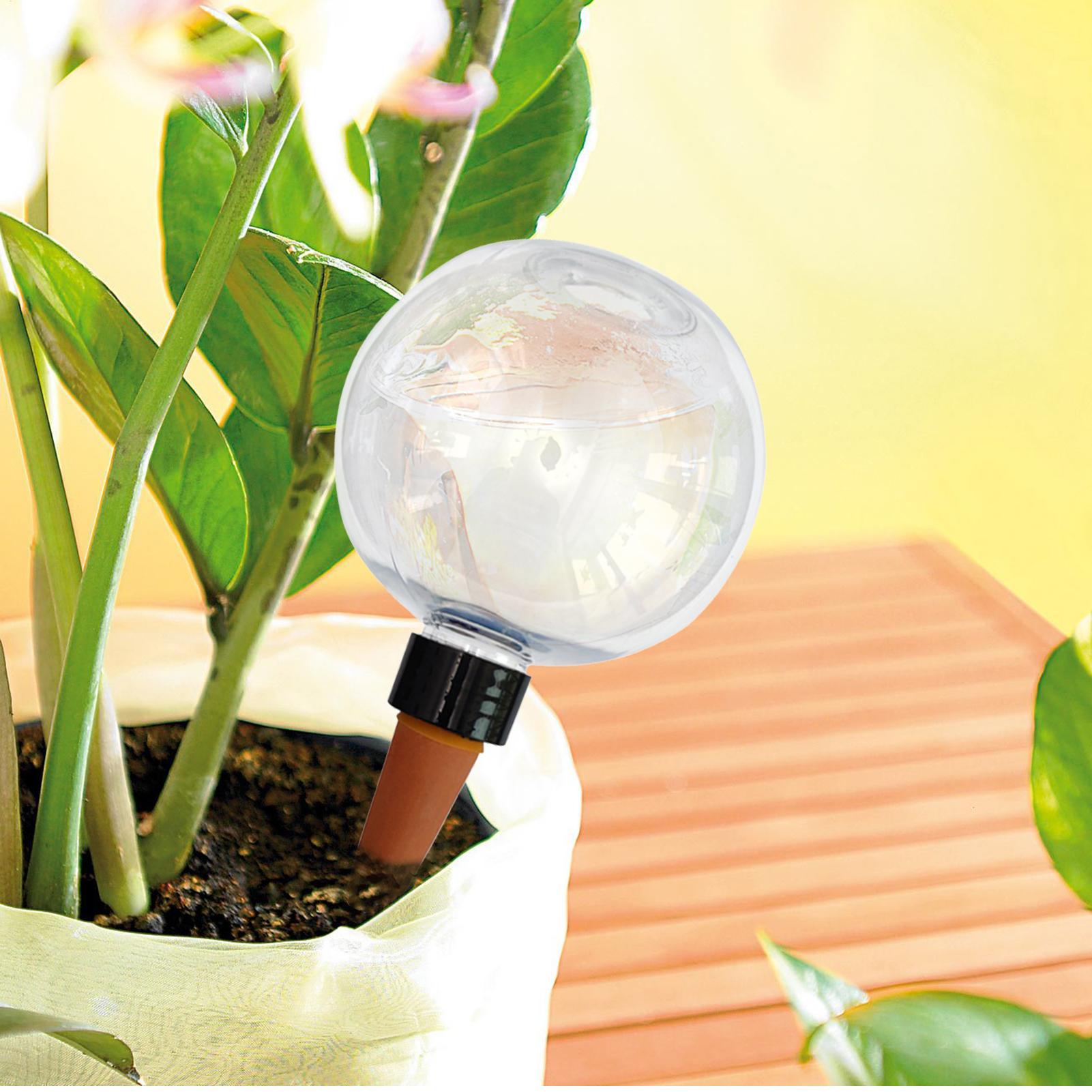 Ampoules d'arrosage automatiqu - Self Watering Planter avis et prix